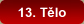 13. Tělo