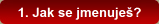 1. Jak se jmenuješ?