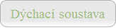 Dýchací soustava