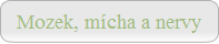 Mozek, mcha a nervy