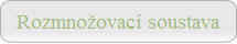 Rozmnožovací soustava