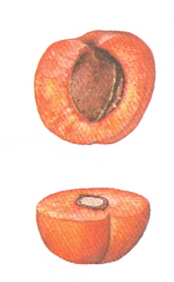1 1.jpg