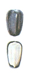 6 6.jpg