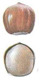 7 7.jpg