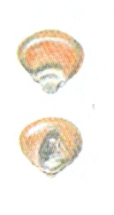 8 8.jpg
