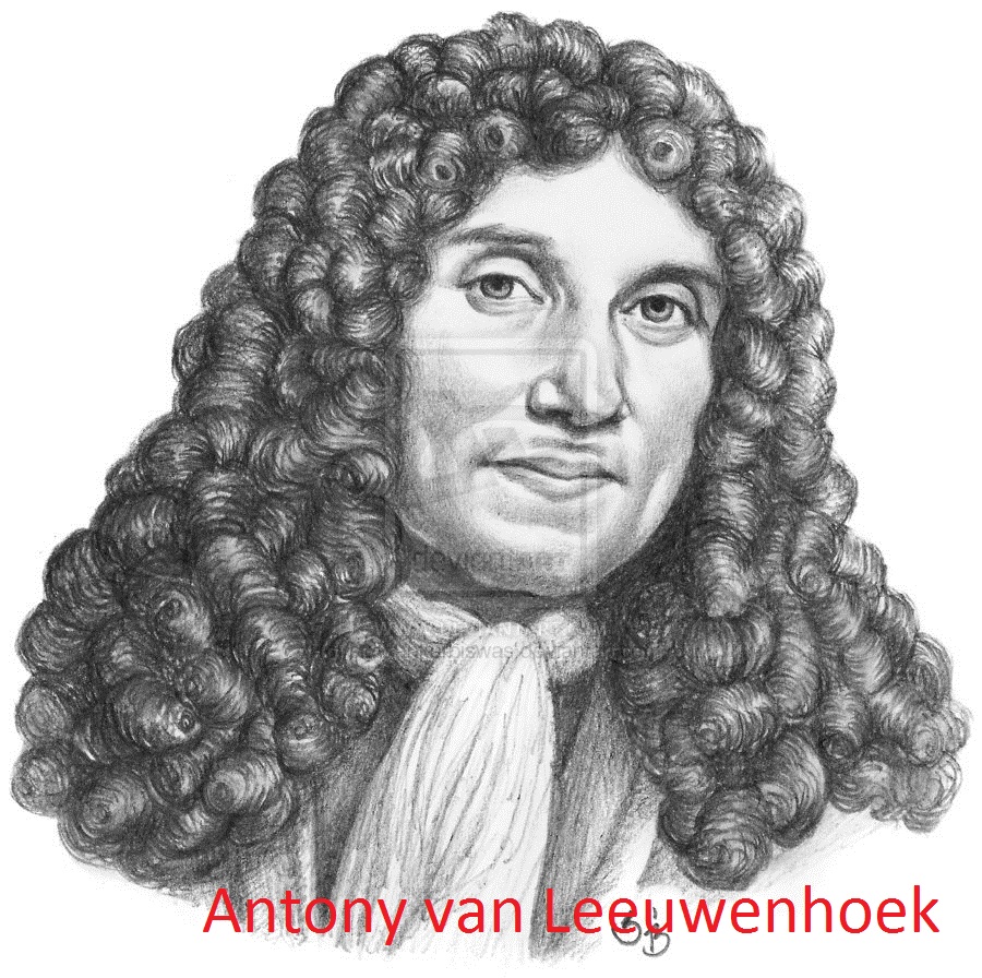 antonie_van_leeuwenhoek_by_subhankarbiswas-d377s96.jpg