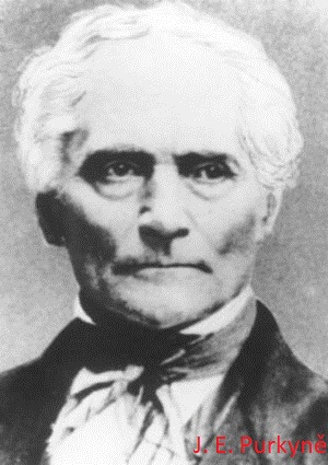 purkyne-300.jpg